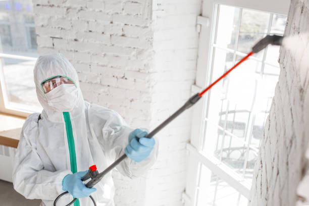 Mold Remediation for Vacation Homes in View Park Windsor Hills, CA