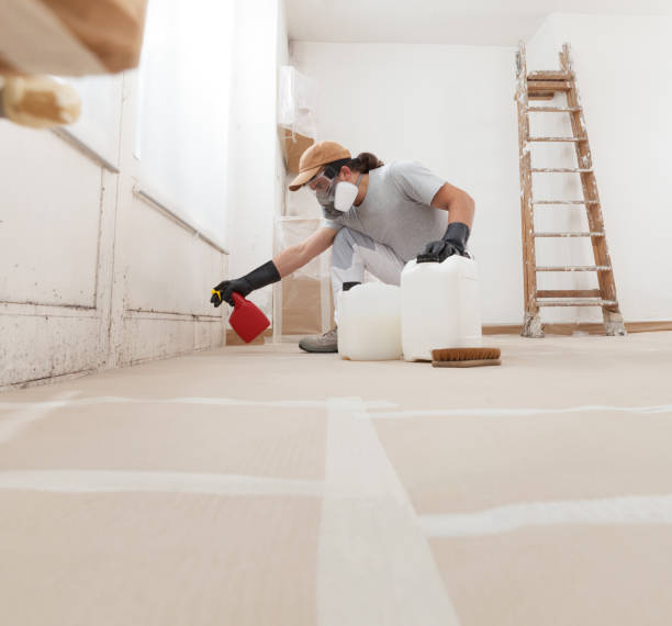Reliable View Park Windsor Hills, CA Mold Removal Solutions